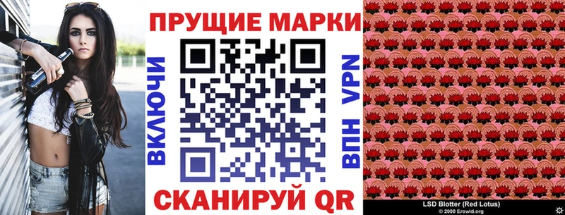 где купить наркоту Куровское Марки N-bome 1,5мг
